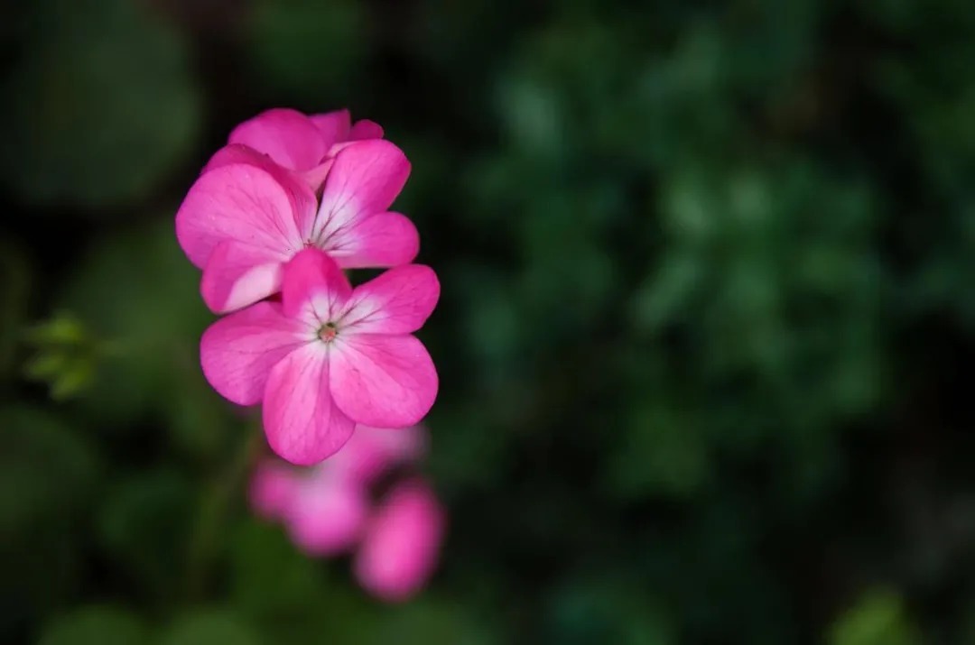 心情好坏&岁月,两个字,写起来简单,听起来幽远