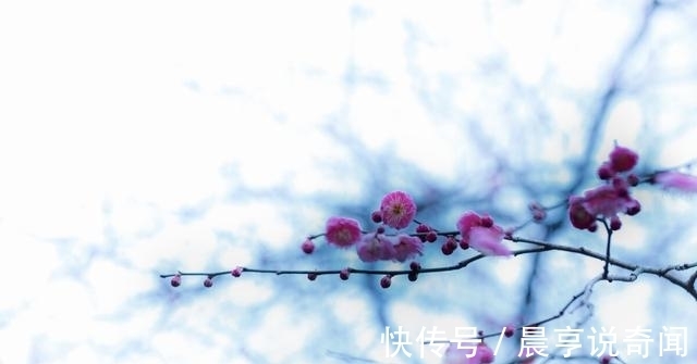 人间@人间凄美:怀念某年的一场雪事(诗歌十四行)