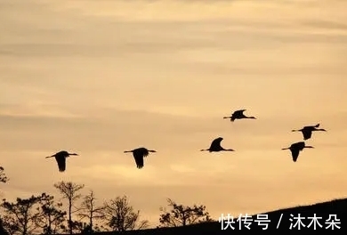 曾巩|陈师道的一首七律,展现出风骨秀异的高士形象,还入选了高考试题