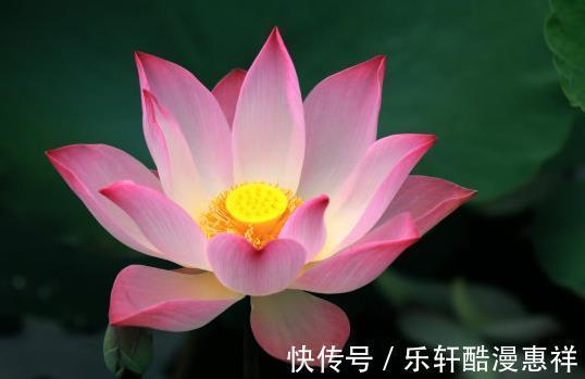 生肖龙|9月下旬，吉星庇佑，4属相贵人相助，日子越过越红火，富贵多金