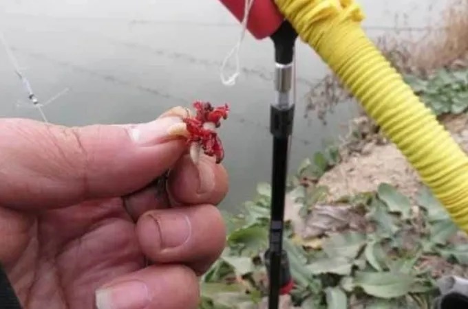 偷偷告诉你：冷天我只用这钓法，千真万确，一般人还真不知道