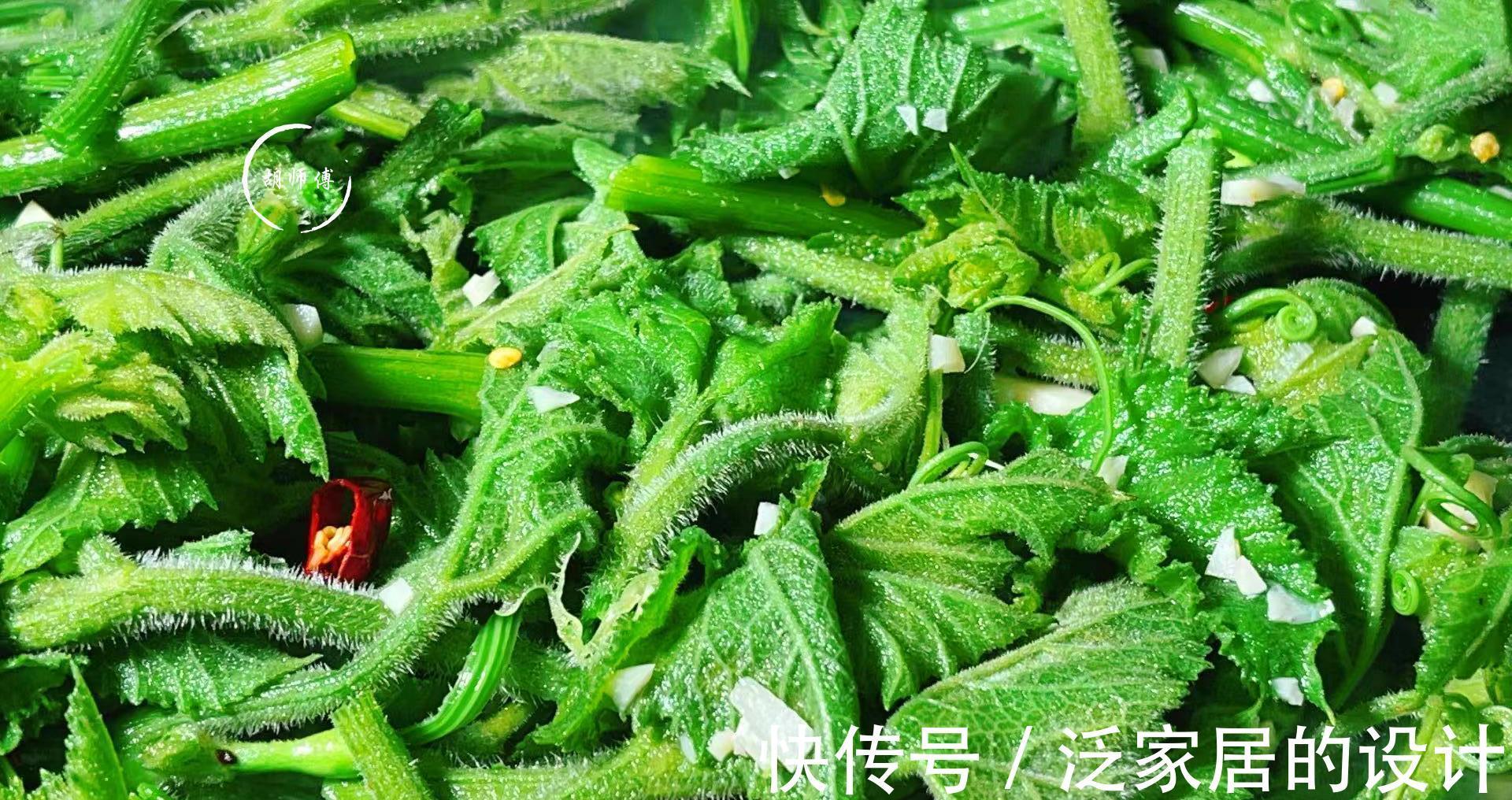 土豆|中伏前后，黄瓜土豆靠边站，最该多吃的是它，清热消暑，才1块1斤