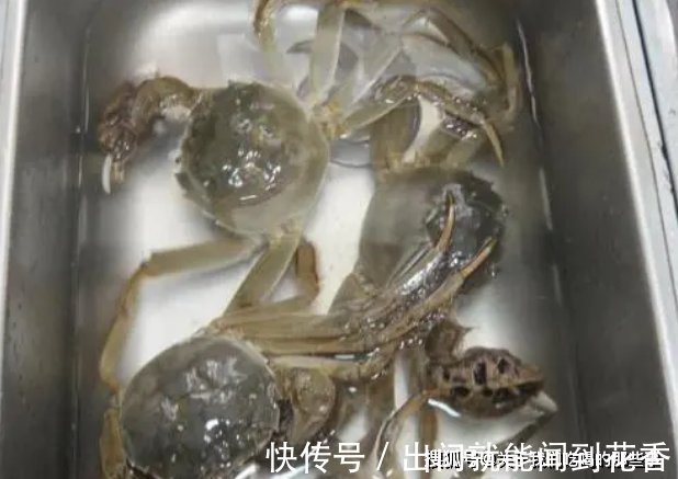 螃蟹吃不完，最忌直接冷藏，学会2个小妙招，放1周还鲜活，不掉肉