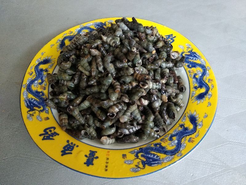 三伏天，喝酒配什么菜好这10道下酒菜有荤有素，啤酒白酒都配