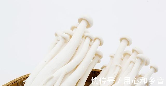 莲藕|宴席常出现的四喜丸子,原来做法这么简单,自己做好吃馅料又足!