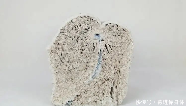 书本&她创作雕塑时“开挂”了:把书丢进水里,等2天作品就完成了