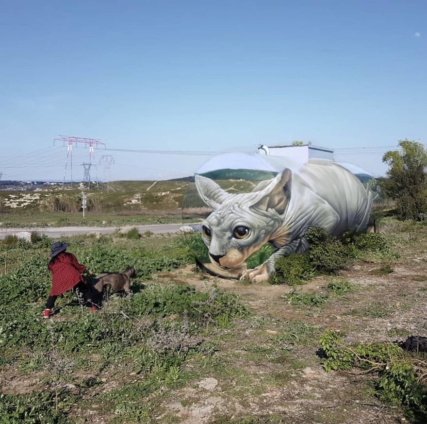 清真假#18张令人惊叹的裸眼3D画,一面墙凭空消失,狗都分不清真假一直叫