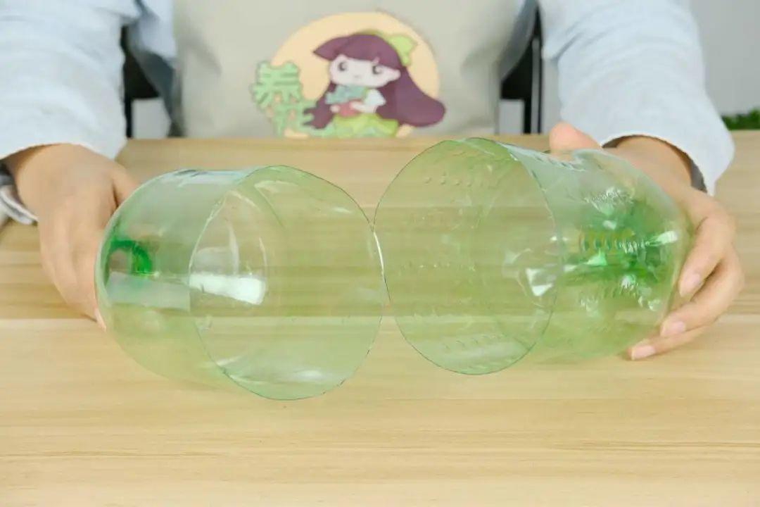 1个塑料瓶，居然有8种养花方法，省钱又好用！