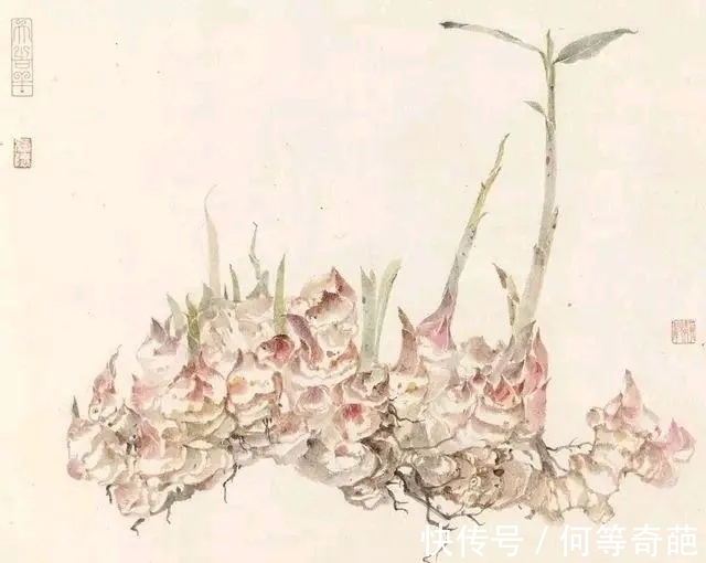 写意花鸟画！北京画院｜清清爽爽，陈福彬花鸟画