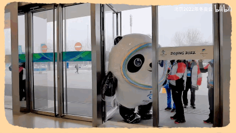 冰墩|吃素就能减肥?在冰墩墩的眼中,这是一个笑话