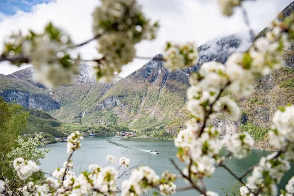 峡湾|这些隐秘的风景 值得你深情的向往