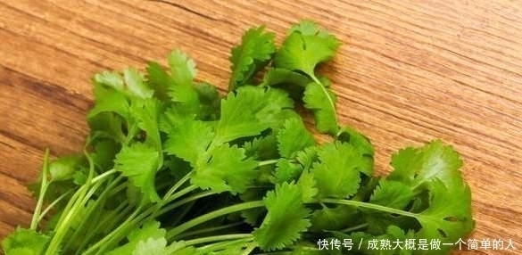 保存香菜不能直接放冰箱,老农教你一招,香菜不腐烂不变黄