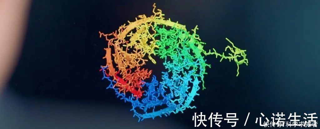 人工智能|没错,战胜柯洁的AI,已经开始解决困扰科学家50年的生物难题