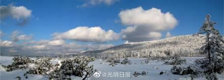 凤凰山景区|雪深超一米！黑龙江凤凰山景区白雪压枝