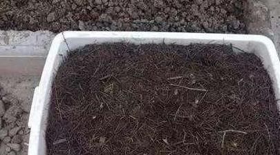 养花的旧土，加点料，秒变营养土，“肥的流油”，养啥花都旺