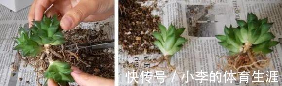 要想成为一名合格的肉友,你还需要知道这些黑话