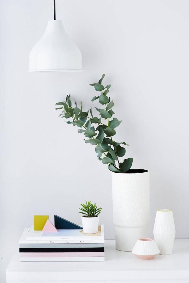 家里放瓶花，让你的家比花店还美！