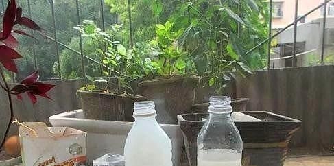 养花土“板结”,2种“水水”浇盆里,土壤疏松透气像“面包”