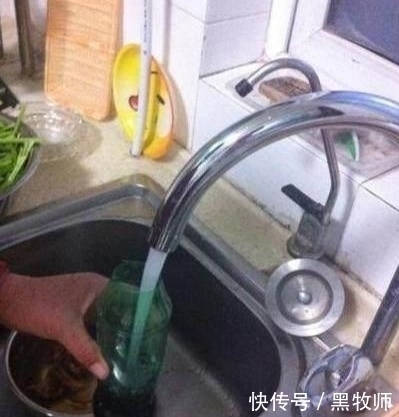 豆芽|豆芽不用买,一个塑料瓶+一把绿豆,够全家吃好几天