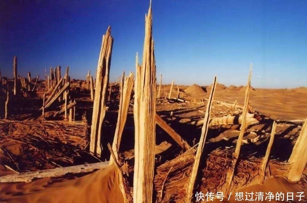 古墓挖出“粽子”,考古家尸体是一级文物,衣服禁止出境