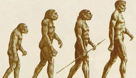 未来的人类长什么样吗？计算机模拟出未来人的形象，看起来有点丑