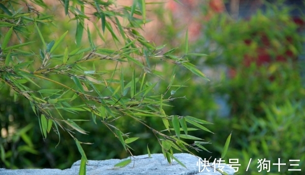 真阴$道生一,一生二,二生三,三生万物,其中“一二三”代表什么呢