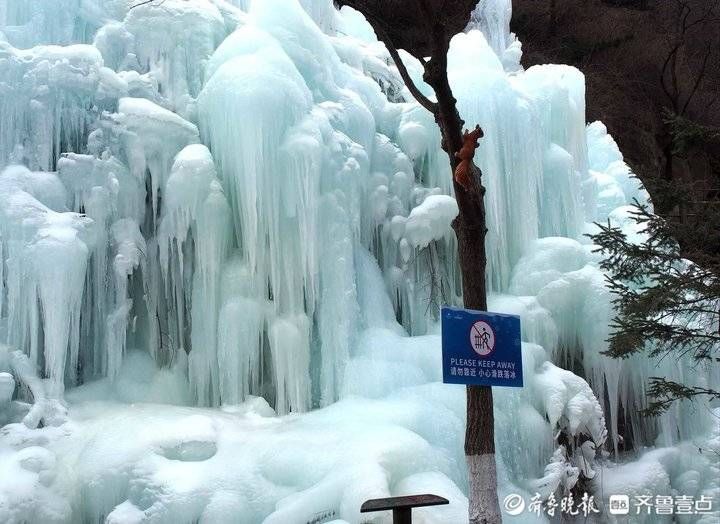 冰雪|济南市区温暖如春，南山依旧冰雪晶莹美丽