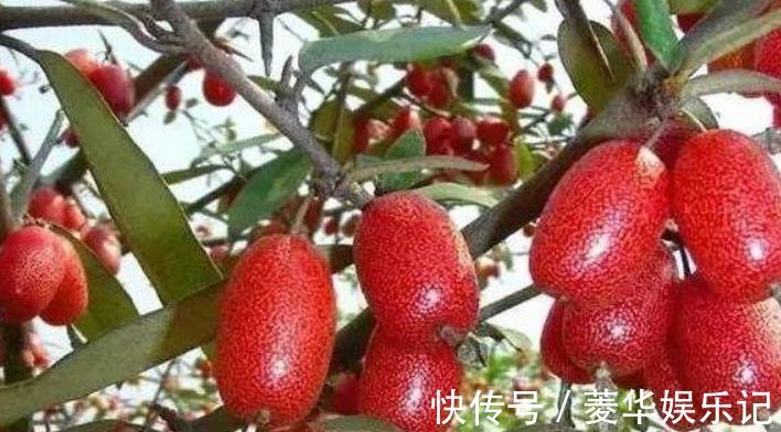 延缓衰老|每天晚上坚持吃3种食物,营养丰富,延缓衰老,有益健康