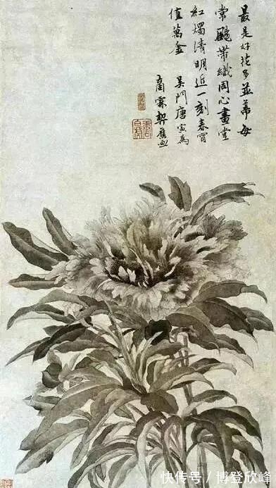 爱莲说|牡丹为什么被奉为“国花”，它有哪些与众不同的优势