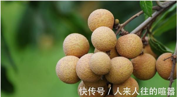 月经期间|女性来“大姨妈”时，4种水果敞开吃，排出子宫污血，皮肤嫩出水