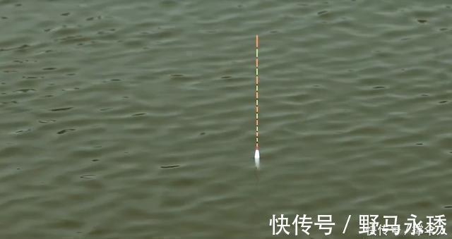 钓友|相同饵料相同线组,只因一把剪刀就多出半数渔获---皇禾钓具