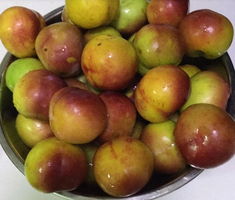 鸡毛菜|常见水果上市的季节,多吃应季蔬果,对身体有好处