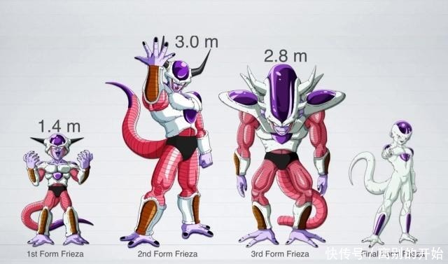 角色|龙珠角色身高大揭秘,贝吉塔很尴尬,孙悟空既是最高又是最矮!