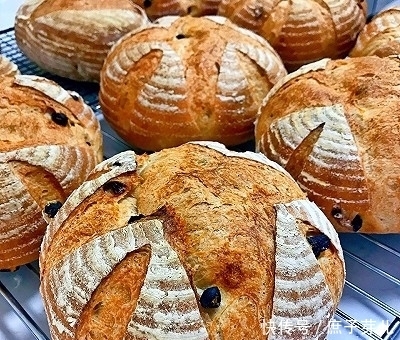 全麦葡萄干软欧包