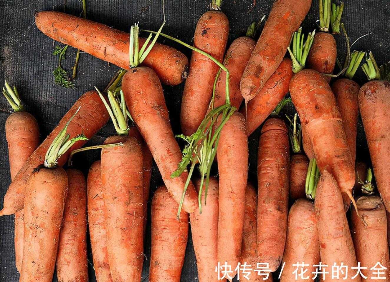 美味|秋分后,建议多吃这3种蔬菜,营养美味又去燥,一块钱一斤!好吃