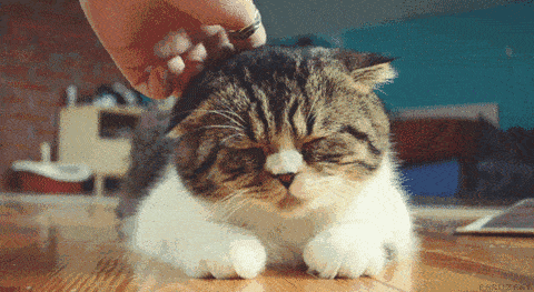 回家|带回家才几天,女儿头顶“秃”了!妈妈崩溃:我悔啊...