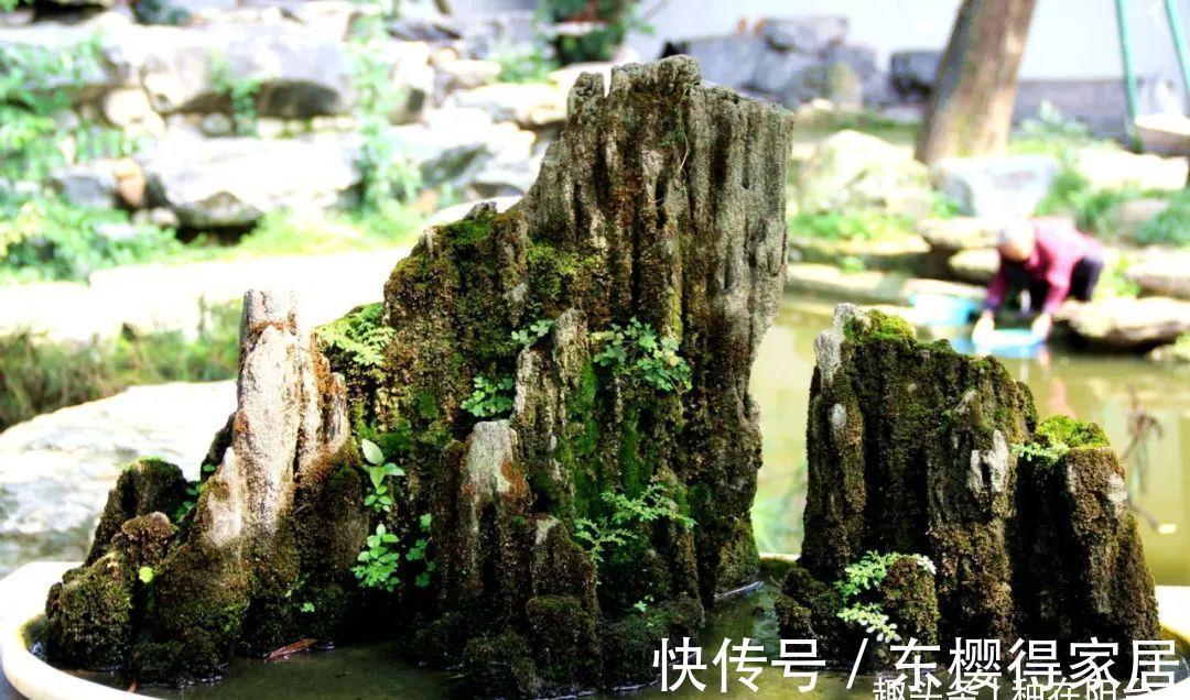 小小树石盆景有啥看头?它的画面与意境足以覆盖“自然山河”!