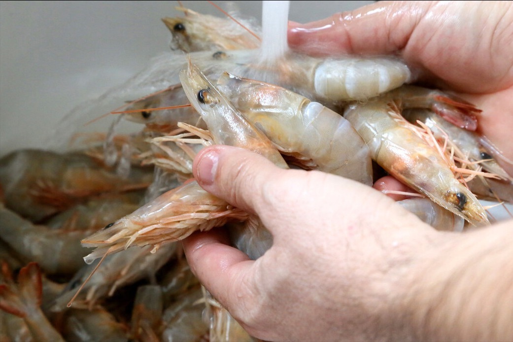 煮大虾,直接加水煮就错了,多做1步,虾肉鲜嫩入味,好吃还不腥