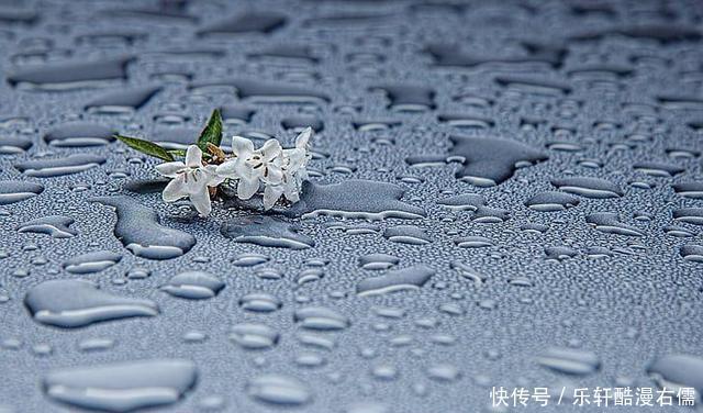 坷坎|失败之后,努力让天空晴朗