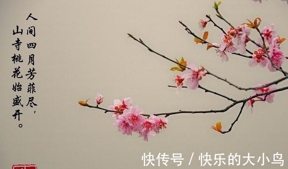 |开心笑话：我的意思是，你直接给我滚蛋啊