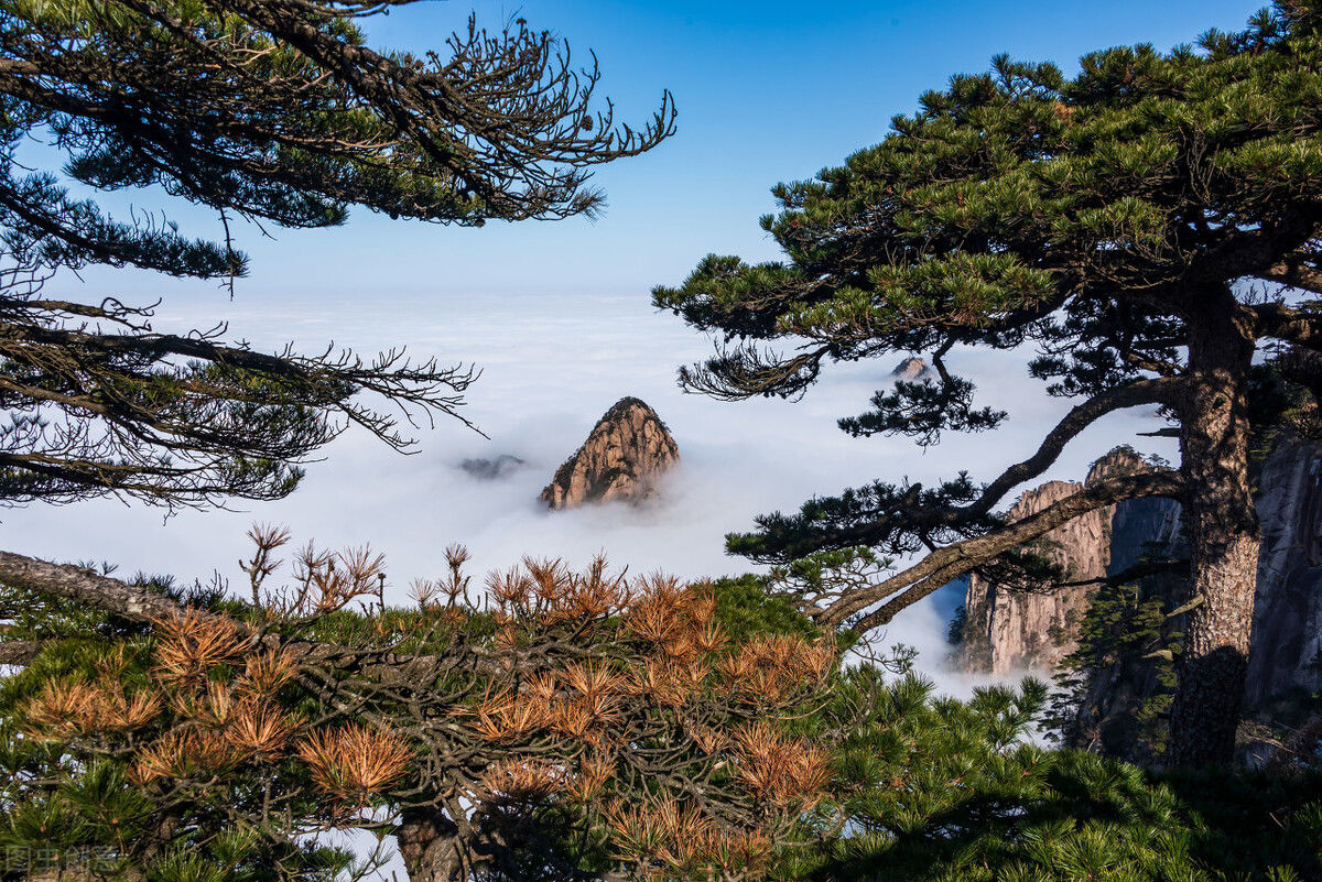 富贵|《老子》的智慧：俭朴，是最豪华的富贵