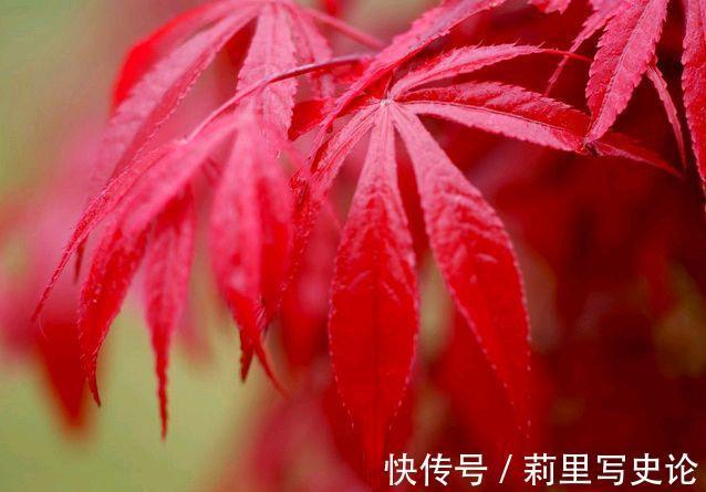 烟火$人生若沧桑,愿你诗意生活,生活若寻常,愿你欢喜度过