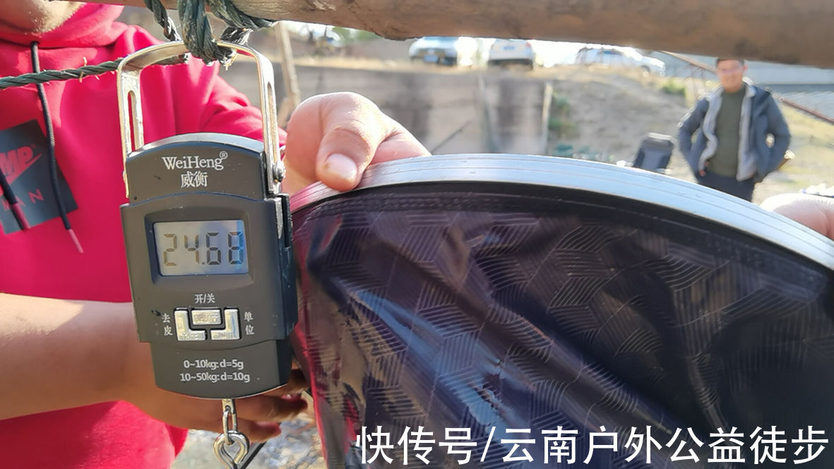 2022楚雄长田水库夜钓，整夜连杆鱼口好，3人24公斤鱼获钓开心了