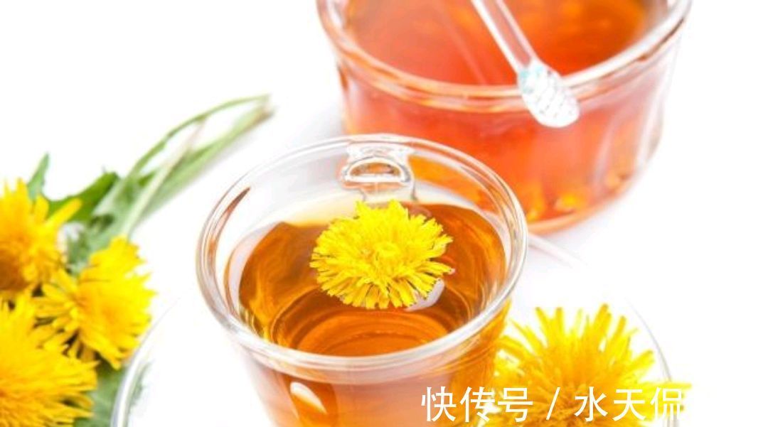 蒲公英泡水|蒲公英被誉为“天然的下火草”，用蒲公英泡水喝，记住五喝两不喝