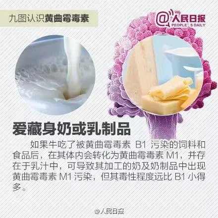 玉米|女子肺部长满真菌，竟因接触它