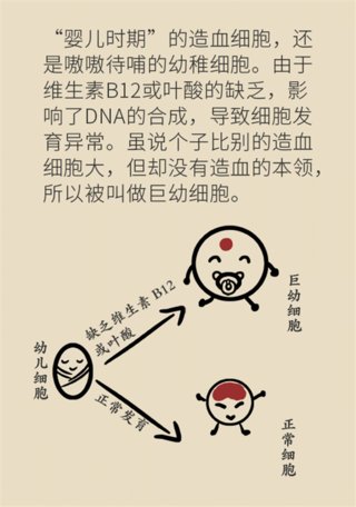 舌头痛|经常手脚麻、舌头痛?这种血液疾病不容忽视