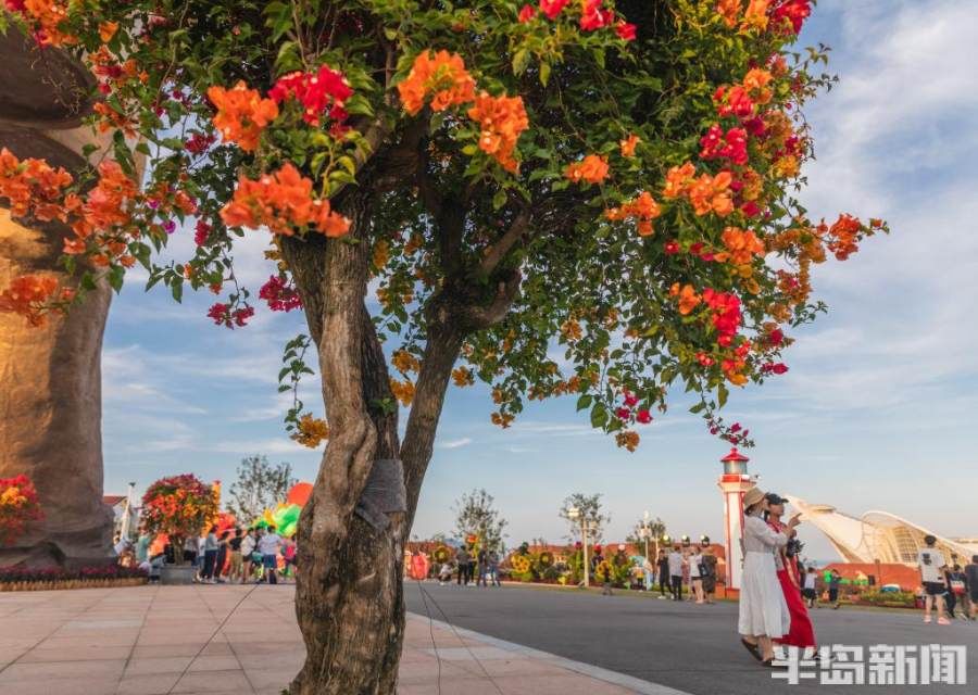 花卉|人游花海满城芳