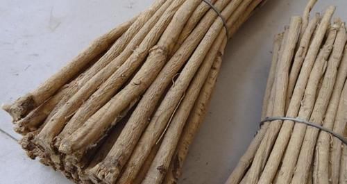 黄芪|黄芪泡水喝虽好,并不适合所有人,有2种人可能要尽量少喝些