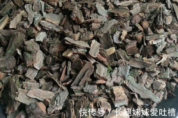 花盆底垫这“4种料”，花卉越长越“有劲”，根粗叶绿，开花多！