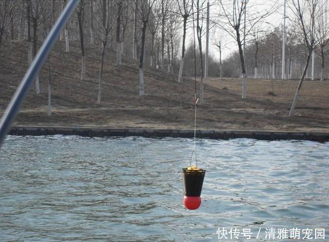 饵料|钓鲫鱼久不发窝,不妨试试这几种打窝方式,鱼口马上会有变化